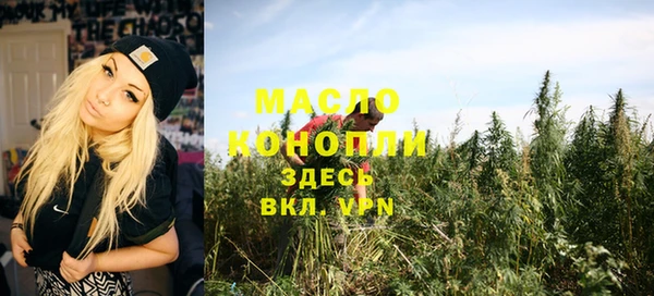 2c-b Горно-Алтайск
