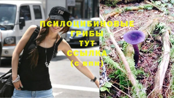 дурь Горнозаводск