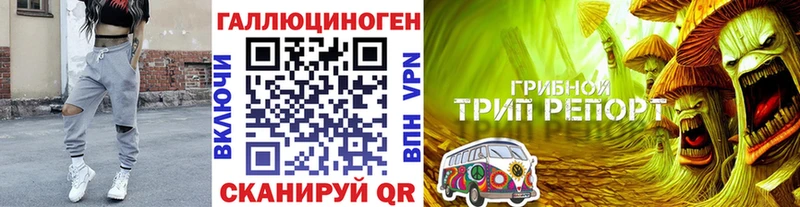 mega зеркало  Волгореченск  Псилоцибиновые грибы Cubensis 